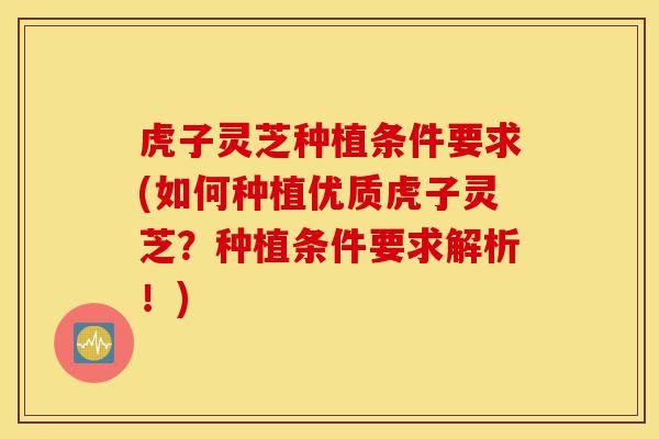 虎子灵芝种植条件要求(如何种植优质虎子灵芝?种植条件要求解析!)-第1张图片-灵芝之家 虎子灵芝种植条件要求(如何种植优质虎子灵芝?种植条件要求解析!)-第1张图片-灵芝之家