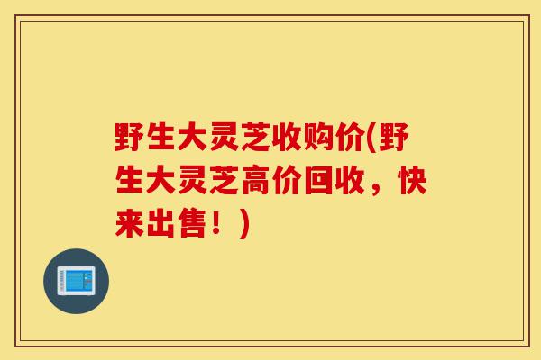 野生大灵芝收购价(野生大灵芝高价回收,快来出售!)-第1张图片-灵芝之家 野生大灵芝收购价(野生大灵芝高价回收,快来出售!)-第1张图片-灵芝之家