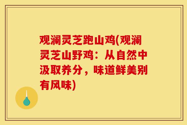观澜灵芝跑山鸡(观澜灵芝山野鸡:从自然中汲取养分,味道鲜美别有风味)-第1张图片-灵芝之家 观澜灵芝跑山鸡(观澜灵芝山野鸡:从自然中汲取养分,味道鲜美别有风味)-第1张图片-灵芝之家
