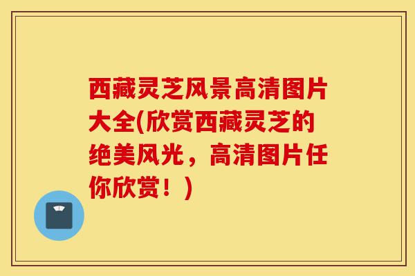 西藏灵芝风景高清图片大全(欣赏西藏灵芝的绝美风光,高清图片任你欣赏!)-第1张图片-灵芝之家 西藏灵芝风景高清图片大全(欣赏西藏灵芝的绝美风光,高清图片任你欣赏!)-第1张图片-灵芝之家