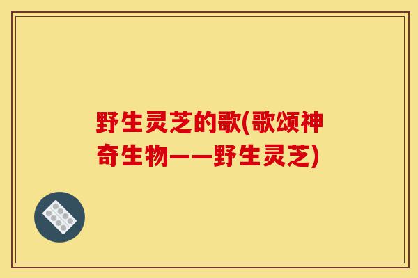 野生灵芝的歌(歌颂神奇生物——野生灵芝)-第1张图片-灵芝之家