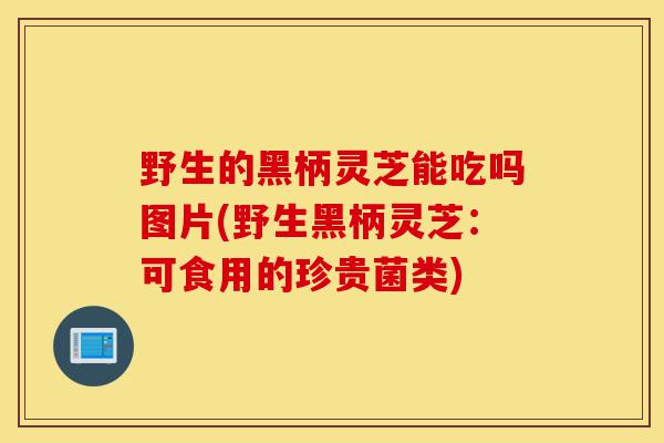 野生的黑柄灵芝能吃吗图片(野生黑柄灵芝：可食用的珍贵菌类)-第1张图片-灵芝之家