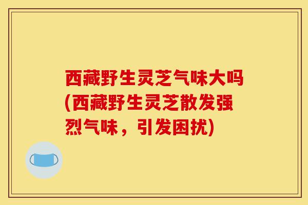 西藏野生灵芝气味大吗(西藏野生灵芝散发强烈气味,引发困扰)-第1张图片-灵芝之家 西藏野生灵芝气味大吗(西藏野生灵芝散发强烈气味,引发困扰)-第1张图片-灵芝之家