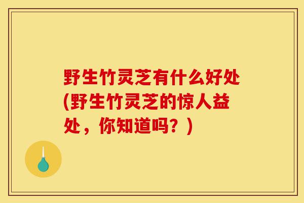野生竹灵芝有什么好处(野生竹灵芝的惊人益处，你知道吗？)-第1张图片-灵芝之家