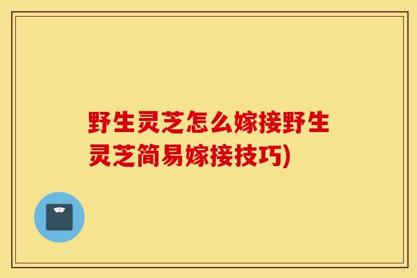 野生灵芝怎么嫁接野生灵芝简易嫁接技巧)-第1张图片-灵芝之家