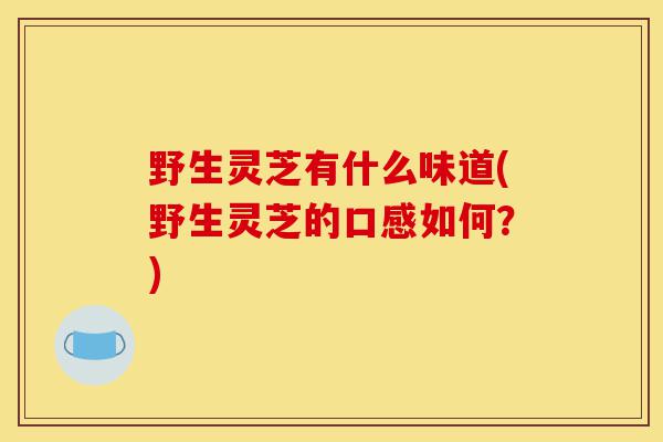 野生灵芝有什么味道(野生灵芝的口感如何?)-第1张图片-灵芝之家 野生灵芝有什么味道(野生灵芝的口感如何?)-第1张图片-灵芝之家