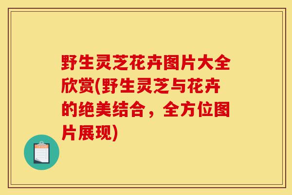 野生灵芝花卉图片大全欣赏(野生灵芝与花卉的绝美结合,全方位图片展现)-第1张图片-灵芝之家 野生灵芝花卉图片大全欣赏(野生灵芝与花卉的绝美结合,全方位图片展现)-第1张图片-灵芝之家