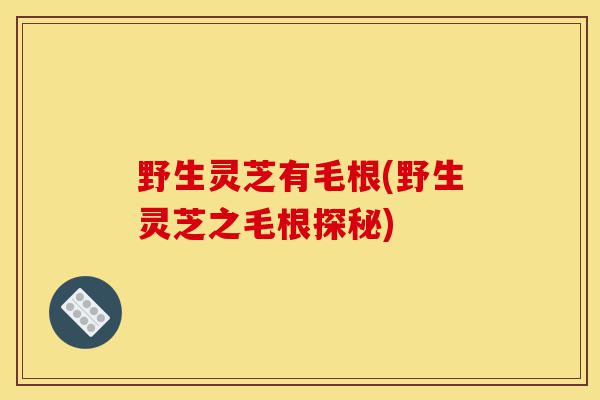 野生灵芝有毛根(野生灵芝之毛根探秘)-第1张图片-灵芝之家