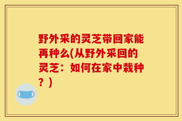 野外采的灵芝带回家能再种么(从野外采回的灵芝:如何在家中栽种?)-第1张图片-灵芝之家 野外采的灵芝带回家能再种么(从野外采回的灵芝:如何在家中栽种?)-第1张图片-灵芝之家
