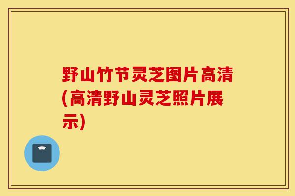 野山竹节灵芝图片高清(高清野山灵芝照片展示)-第1张图片-灵芝之家
