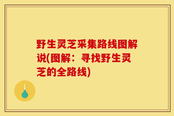 野生灵芝采集路线图解说(图解：寻找野生灵芝的全路线)-第1张图片-灵芝之家