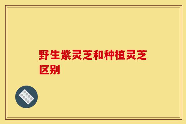 野生紫灵芝和种植灵芝区别-第1张图片-灵芝之家 野生紫灵芝和种植灵芝区别-第1张图片-灵芝之家