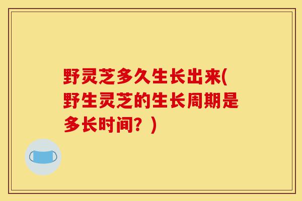 野灵芝多久生长出来(野生灵芝的生长周期是多长时间?)-第1张图片-灵芝之家 野灵芝多久生长出来(野生灵芝的生长周期是多长时间?)-第1张图片-灵芝之家