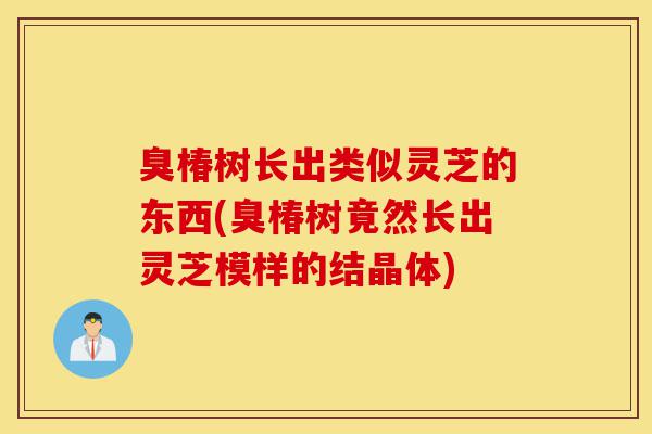 臭椿树长出类似灵芝的东西(臭椿树竟然长出灵芝模样的结晶体)-第1张图片-灵芝之家