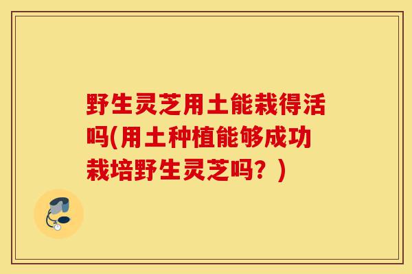 野生灵芝用土能栽得活吗(用土种植能够成功栽培野生灵芝吗?)-第1张图片-灵芝之家 野生灵芝用土能栽得活吗(用土种植能够成功栽培野生灵芝吗?)-第1张图片-灵芝之家