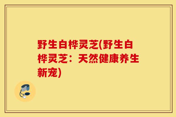 野生白桦灵芝(野生白桦灵芝:天然健康养生新宠)-第1张图片-灵芝之家 野生白桦灵芝(野生白桦灵芝:天然健康养生新宠)-第1张图片-灵芝之家
