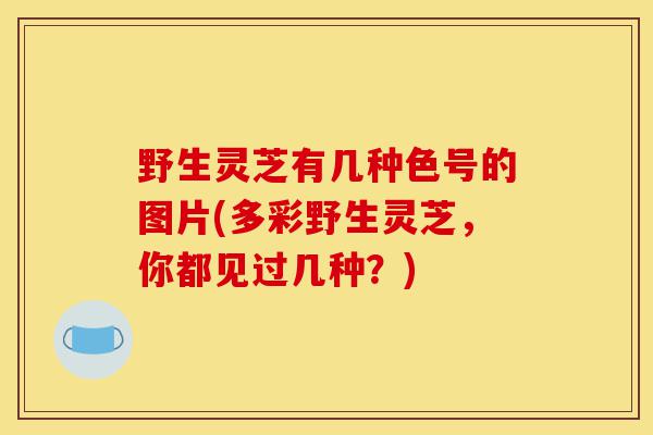 野生灵芝有几种色号的图片(多彩野生灵芝,你都见过几种?)-第1张图片-灵芝之家 野生灵芝有几种色号的图片(多彩野生灵芝,你都见过几种?)-第1张图片-灵芝之家
