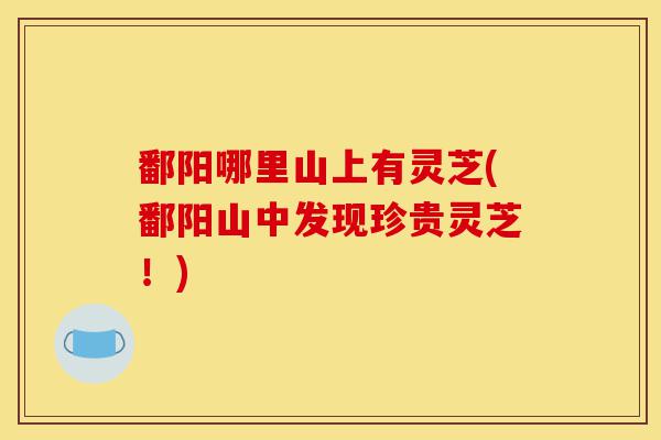 鄱阳哪里山上有灵芝(鄱阳山中发现珍贵灵芝！)-第1张图片-灵芝之家
