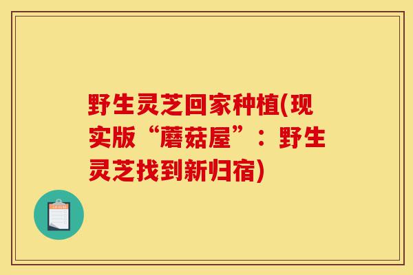野生灵芝回家种植(现实版“蘑菇屋”：野生灵芝找到新归宿)-第1张图片-灵芝之家
