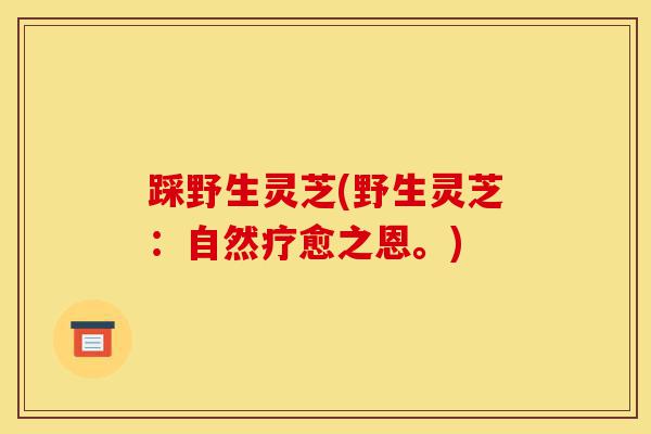踩野生灵芝(野生灵芝:自然疗愈之恩。)-第1张图片-灵芝之家 踩野生灵芝(野生灵芝:自然疗愈之恩。)-第1张图片-灵芝之家