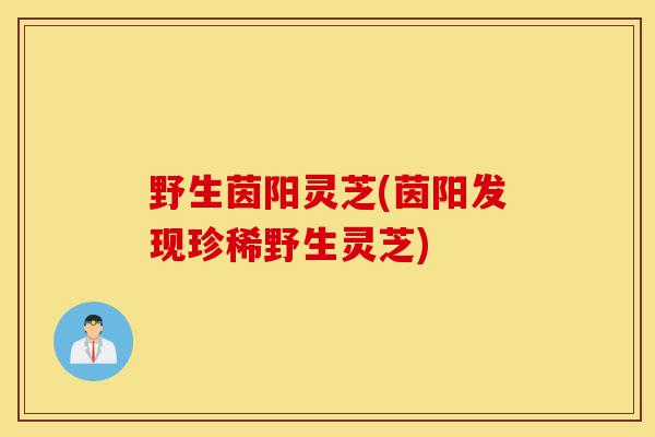 野生茵阳灵芝(茵阳发现珍稀野生灵芝)-第1张图片-灵芝之家 野生茵阳灵芝(茵阳发现珍稀野生灵芝)-第1张图片-灵芝之家