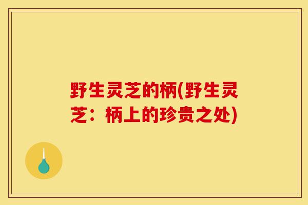 野生灵芝的柄(野生灵芝:柄上的珍贵之处)-第1张图片-灵芝之家 野生灵芝的柄(野生灵芝:柄上的珍贵之处)-第1张图片-灵芝之家
