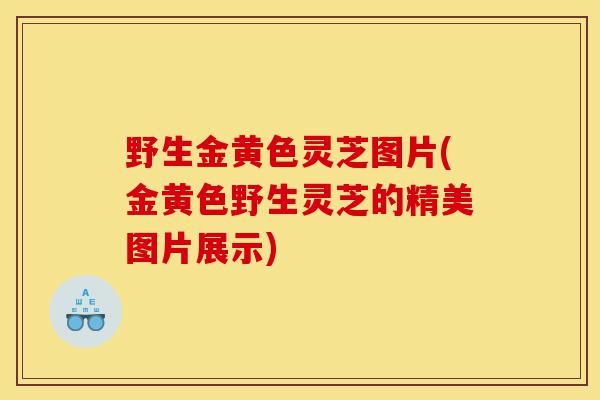 野生金黄色灵芝图片(金黄色野生灵芝的精美图片展示)-第1张图片-灵芝之家 野生金黄色灵芝图片(金黄色野生灵芝的精美图片展示)-第1张图片-灵芝之家