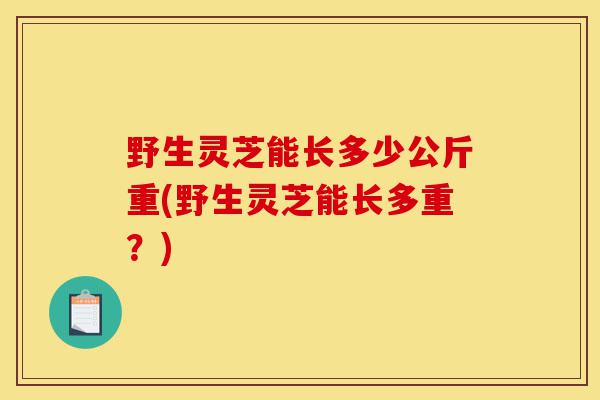 野生灵芝能长多少公斤重(野生灵芝能长多重?)-第1张图片-灵芝之家 野生灵芝能长多少公斤重(野生灵芝能长多重?)-第1张图片-灵芝之家
