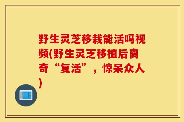 野生灵芝移栽能活吗视频(野生灵芝移植后离奇“复活”,惊呆众人)-第1张图片-灵芝之家 野生灵芝移栽能活吗视频(野生灵芝移植后离奇“复活”,惊呆众人)-第1张图片-灵芝之家