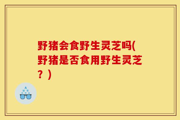 野猪会食野生灵芝吗(野猪是否食用野生灵芝?)-第1张图片-灵芝之家 野猪会食野生灵芝吗(野猪是否食用野生灵芝?)-第1张图片-灵芝之家