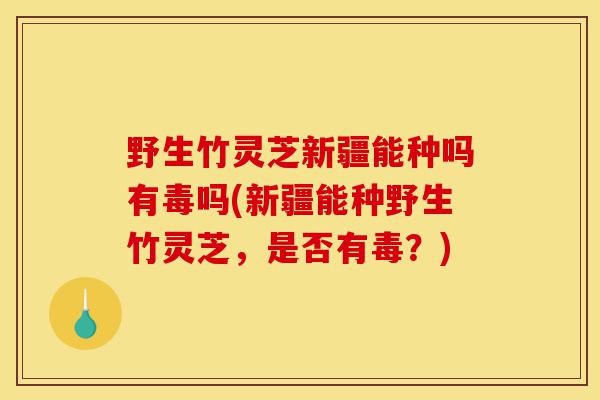 野生竹灵芝新疆能种吗有毒吗(新疆能种野生竹灵芝,是否有毒?)-第1张图片-灵芝之家 野生竹灵芝新疆能种吗有毒吗(新疆能种野生竹灵芝,是否有毒?)-第1张图片-灵芝之家