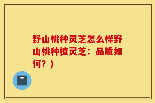 野山桃种灵芝怎么样野山桃种植灵芝：品质如何？)-第1张图片-灵芝之家