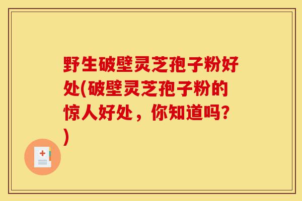 野生破壁灵芝孢子粉好处(破壁灵芝孢子粉的惊人好处,你知道吗?)-第1张图片-灵芝之家 野生破壁灵芝孢子粉好处(破壁灵芝孢子粉的惊人好处,你知道吗?)-第1张图片-灵芝之家