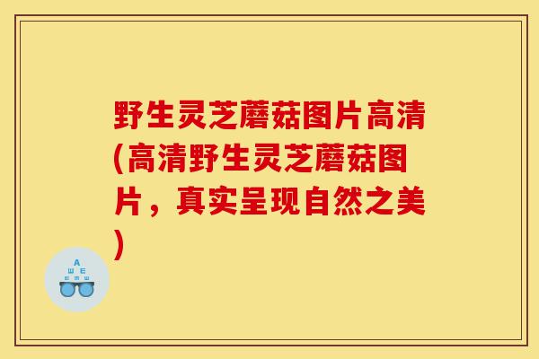 野生灵芝蘑菇图片高清(高清野生灵芝蘑菇图片,真实呈现自然之美)-第1张图片-灵芝之家 野生灵芝蘑菇图片高清(高清野生灵芝蘑菇图片,真实呈现自然之美)-第1张图片-灵芝之家