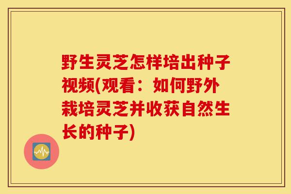 野生灵芝怎样培出种子视频(观看:如何野外栽培灵芝并收获自然生长的种子)-第1张图片-灵芝之家 野生灵芝怎样培出种子视频(观看:如何野外栽培灵芝并收获自然生长的种子)-第1张图片-灵芝之家
