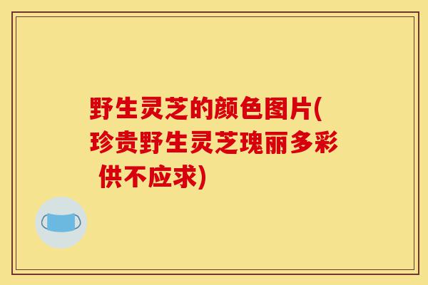 野生灵芝的颜色图片(珍贵野生灵芝瑰丽多彩 供不应求)-第1张图片-灵芝之家