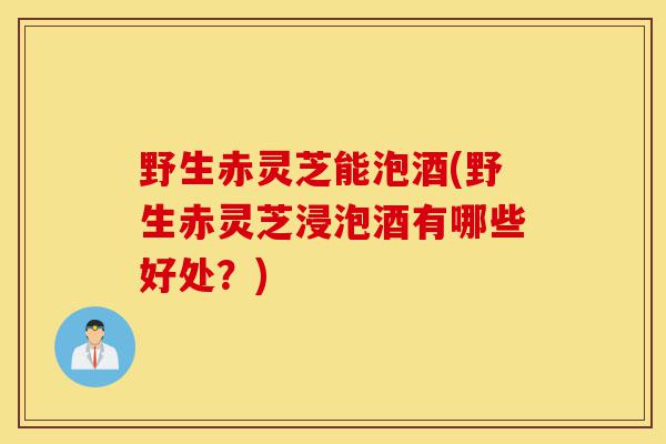 野生赤灵芝能泡酒(野生赤灵芝浸泡酒有哪些好处?)-第1张图片-灵芝之家 野生赤灵芝能泡酒(野生赤灵芝浸泡酒有哪些好处?)-第1张图片-灵芝之家