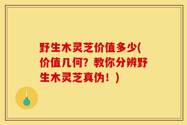 野生木灵芝价值多少(价值几何?教你分辨野生木灵芝真伪!)-第1张图片-灵芝之家 野生木灵芝价值多少(价值几何?教你分辨野生木灵芝真伪!)-第1张图片-灵芝之家