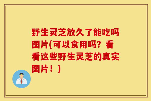 野生灵芝放久了能吃吗图片(可以食用吗?看看这些野生灵芝的真实图片!)-第1张图片-灵芝之家 野生灵芝放久了能吃吗图片(可以食用吗?看看这些野生灵芝的真实图片!)-第1张图片-灵芝之家