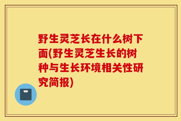 野生灵芝长在什么树下面(野生灵芝生长的树种与生长环境相关性研究简报)-第1张图片-灵芝之家 野生灵芝长在什么树下面(野生灵芝生长的树种与生长环境相关性研究简报)-第1张图片-灵芝之家