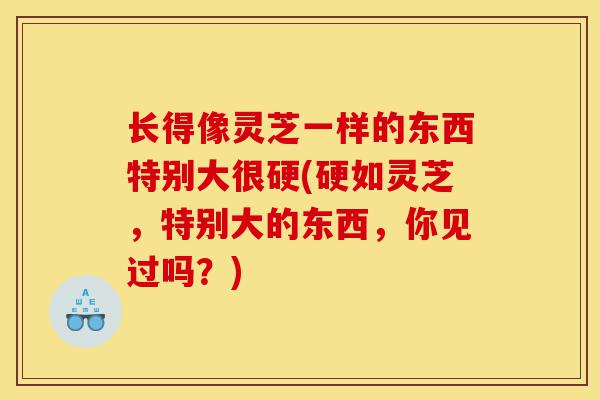 长得像灵芝一样的东西特别大很硬(硬如灵芝,特别大的东西,你见过吗?)-第1张图片-灵芝之家 长得像灵芝一样的东西特别大很硬(硬如灵芝,特别大的东西,你见过吗?)-第1张图片-灵芝之家
