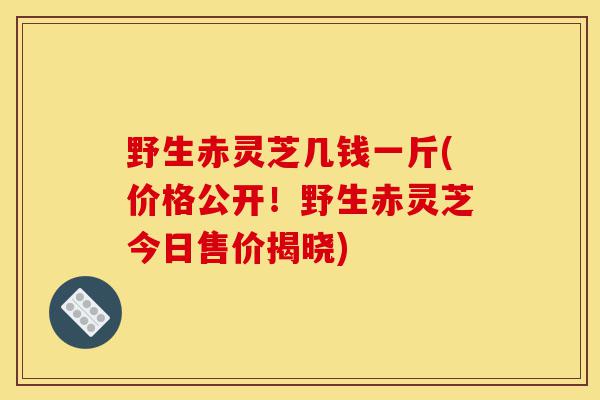 野生赤灵芝几钱一斤(价格公开!野生赤灵芝今日售价揭晓)-第1张图片-灵芝之家 野生赤灵芝几钱一斤(价格公开!野生赤灵芝今日售价揭晓)-第1张图片-灵芝之家