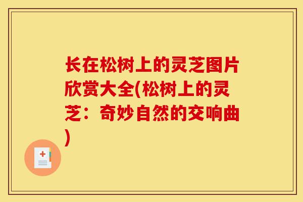长在松树上的灵芝图片欣赏大全(松树上的灵芝:奇妙自然的交响曲)-第1张图片-灵芝之家 长在松树上的灵芝图片欣赏大全(松树上的灵芝:奇妙自然的交响曲)-第1张图片-灵芝之家