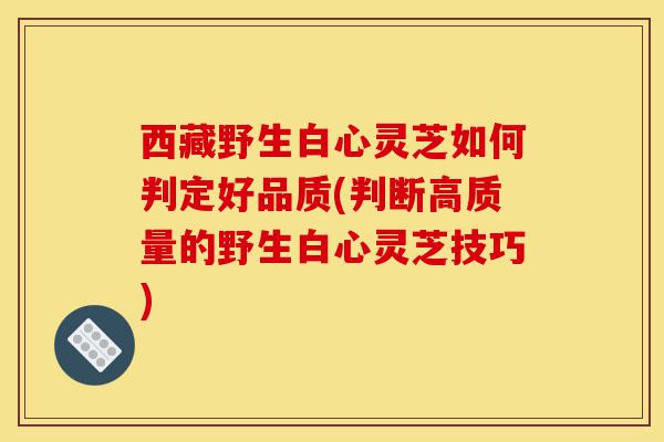 西藏野生白心灵芝如何判定好品质(判断高质量的野生白心灵芝技巧)-第1张图片-灵芝之家 西藏野生白心灵芝如何判定好品质(判断高质量的野生白心灵芝技巧)-第1张图片-灵芝之家