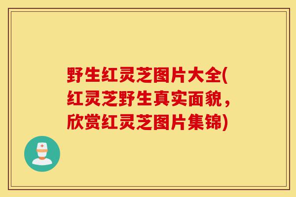 野生红灵芝图片大全(红灵芝野生真实面貌，欣赏红灵芝图片集锦)-第1张图片-灵芝之家