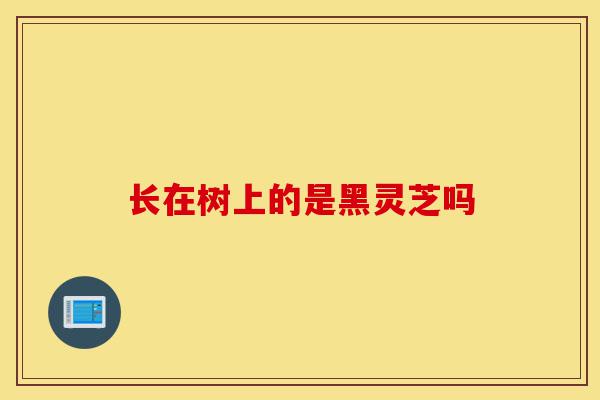 长在树上的是黑灵芝吗-第1张图片-灵芝之家 长在树上的是黑灵芝吗-第1张图片-灵芝之家
