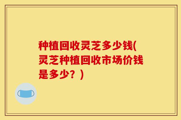 种植回收灵芝多少钱(灵芝种植回收市场价钱是多少?)-第1张图片-灵芝之家 种植回收灵芝多少钱(灵芝种植回收市场价钱是多少?)-第1张图片-灵芝之家