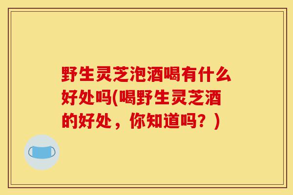 野生灵芝泡酒喝有什么好处吗(喝野生灵芝酒的好处，你知道吗？)-第1张图片-灵芝之家