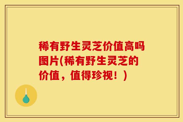 稀有野生灵芝价值高吗图片(稀有野生灵芝的价值,值得珍视!)-第1张图片-灵芝之家 稀有野生灵芝价值高吗图片(稀有野生灵芝的价值,值得珍视!)-第1张图片-灵芝之家
