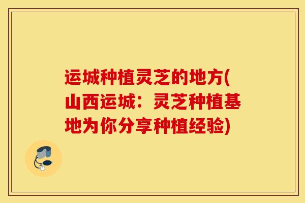 运城种植灵芝的地方(山西运城:灵芝种植基地为你分享种植经验)-第1张图片-灵芝之家 运城种植灵芝的地方(山西运城:灵芝种植基地为你分享种植经验)-第1张图片-灵芝之家